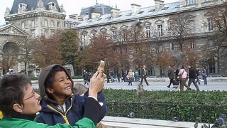 Oiseaux sur le parvis de Notre Dame de Paris