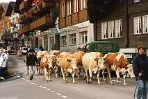 Brienz traditionnel