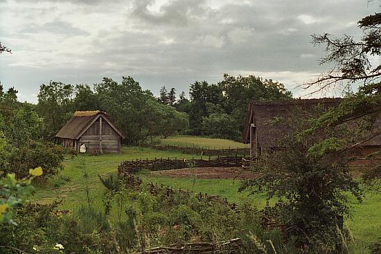Muse Viking  Ribe