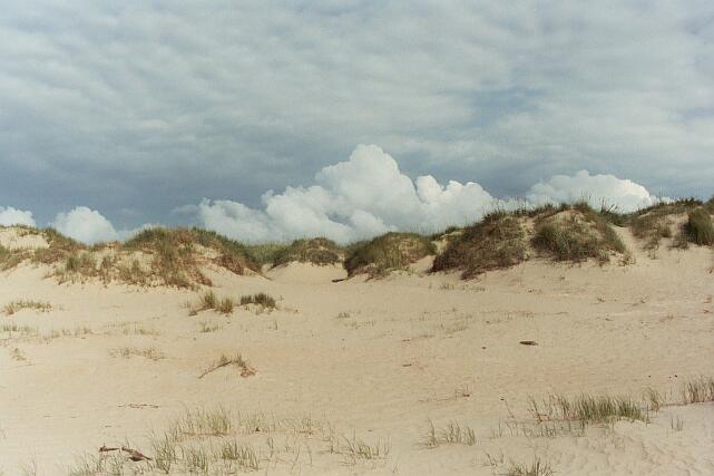 Dunes le long de la plage ( le de Romo )